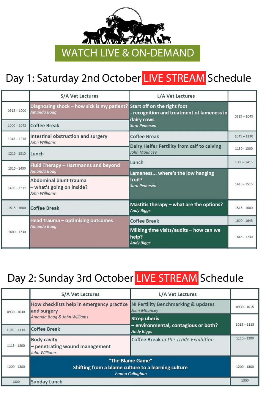 Live Stream Schedule